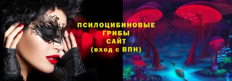 где можно купить наркотик  Россошь  Галлюциногенные грибы Magic Shrooms 